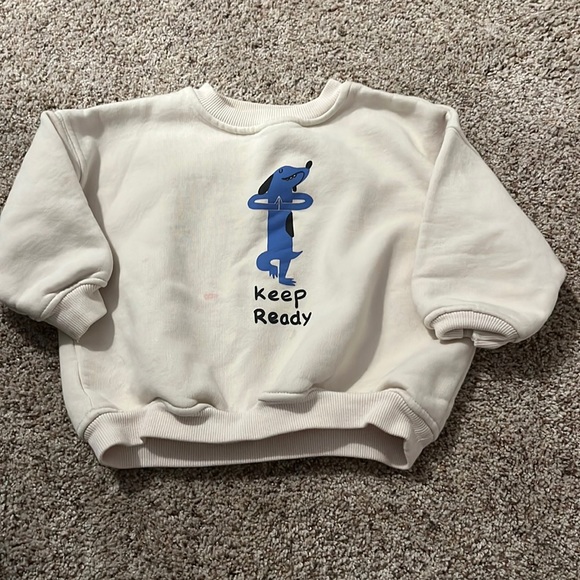 A thick Zara sweater - Picture 1 of 3